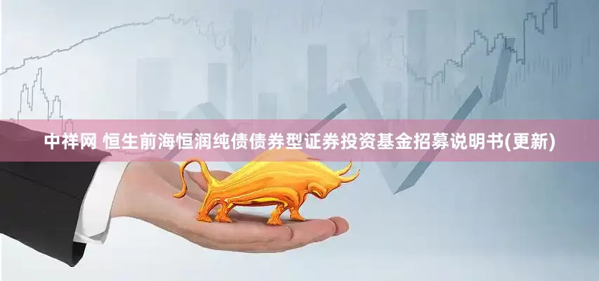 中祥网 恒生前海恒润纯债债券型证券投资基金招募说明书(更新)