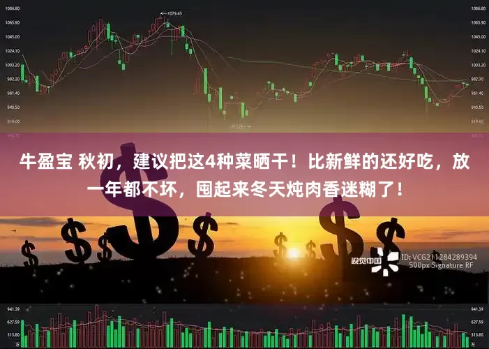 牛盈宝 秋初，建议把这4种菜晒干！比新鲜的还好吃，放一年都不坏，囤起来冬天炖肉香迷糊了！
